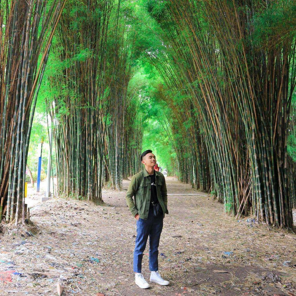 Potret hutan bambu keputih (instagram.com/bagussetyo.w)