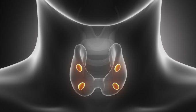ilustrasi hiperparatiroidisme (endocrinologyadvisor.com)