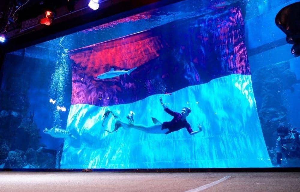 Jakarta Aquarium (https://www.instagram.com/jakartaaquarium/)