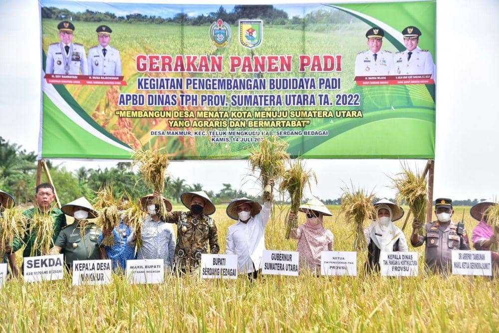 Gubernur Sumatera Utara (Sumut) Edy Rahmayadi bersama Ketua Tim Penggerak Pemberdayaan dan Kesejahteraan Keluarga (TP PKK) Provinsi Sumut Nawal Lubis menghadiri acara syukuran Panen Raya Padi seluas 200 Ha yang dilaksanakan di Desa Makmur Kecamatan Teluk Mengkudu Kabupaten Serdang Bedagai, Kamis (14/7/2022).