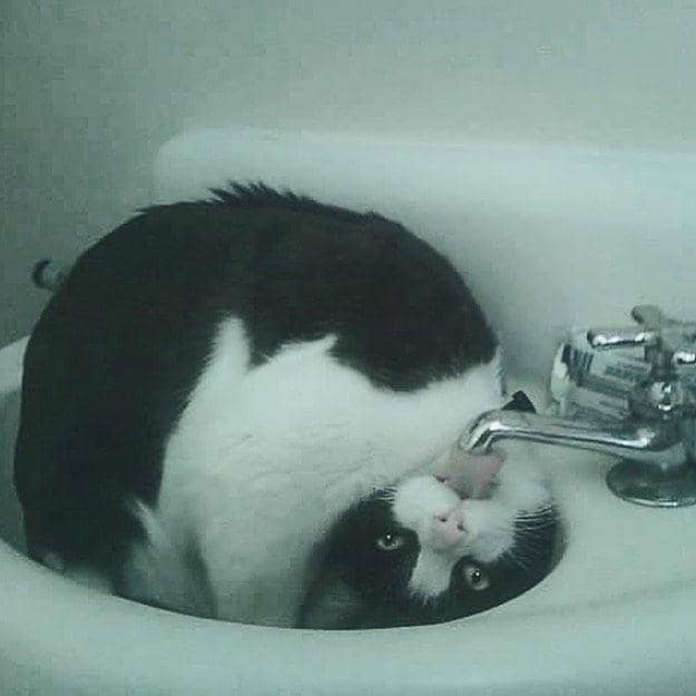 potret momen random (instagram.com/meta_visions)