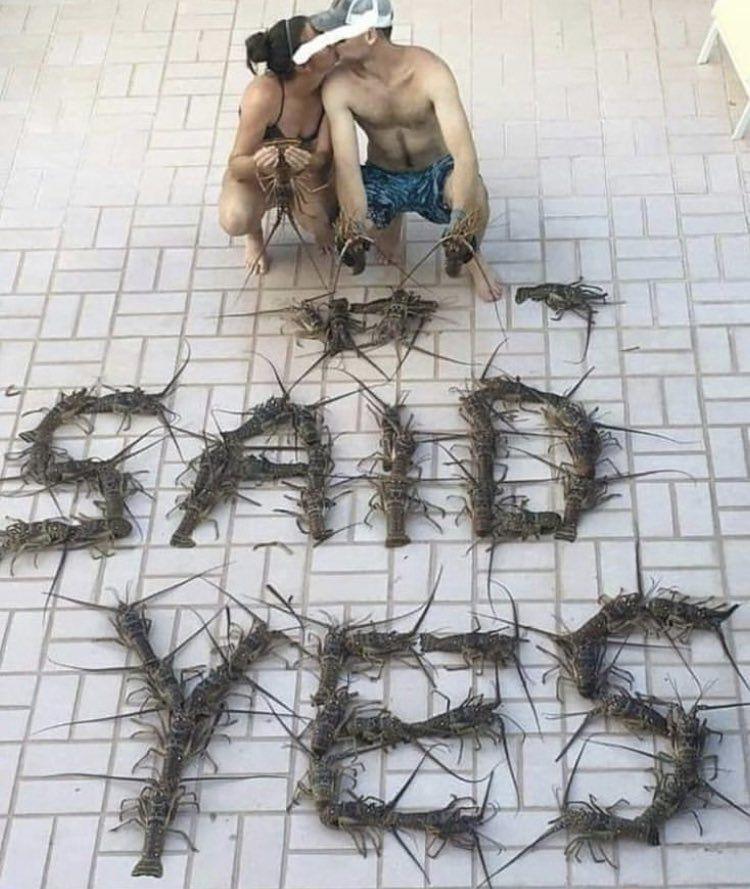 tingkah gak biasa para hewan (twitter.com/ConfusingImages)