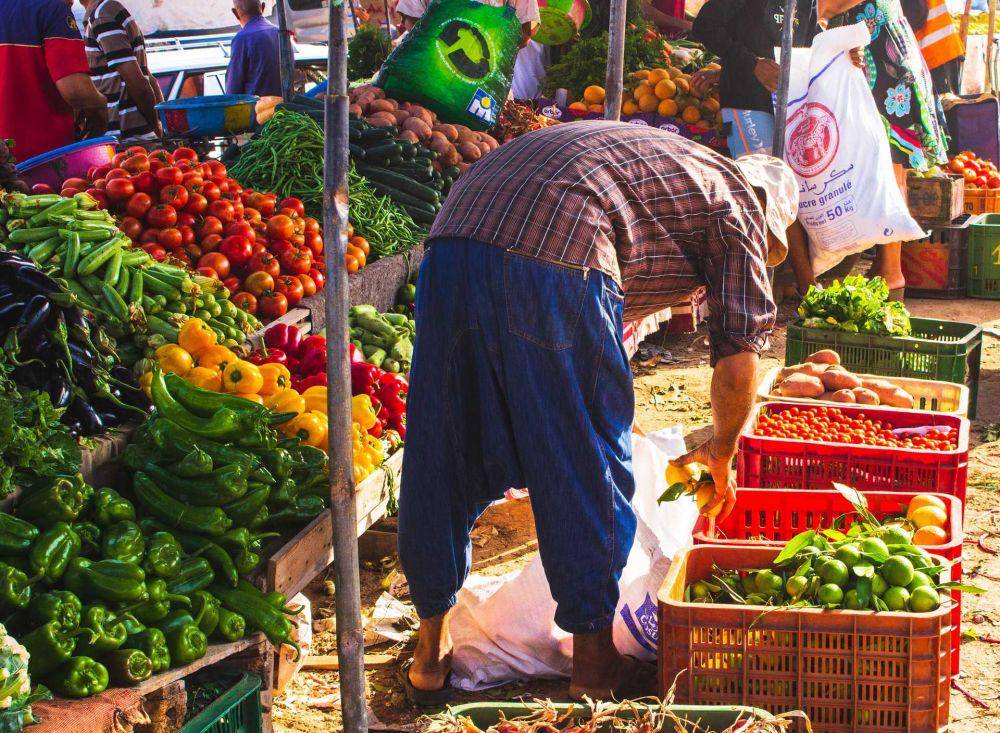 Ilustrasi sayur-sayuran (unsplash.com/louishansel)