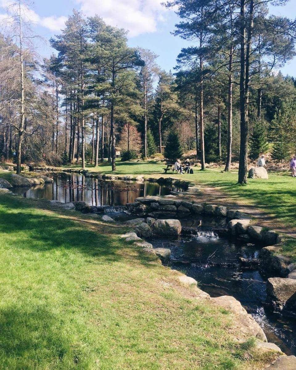 Arboretum Rogaland (instagram.com/aliceveim)