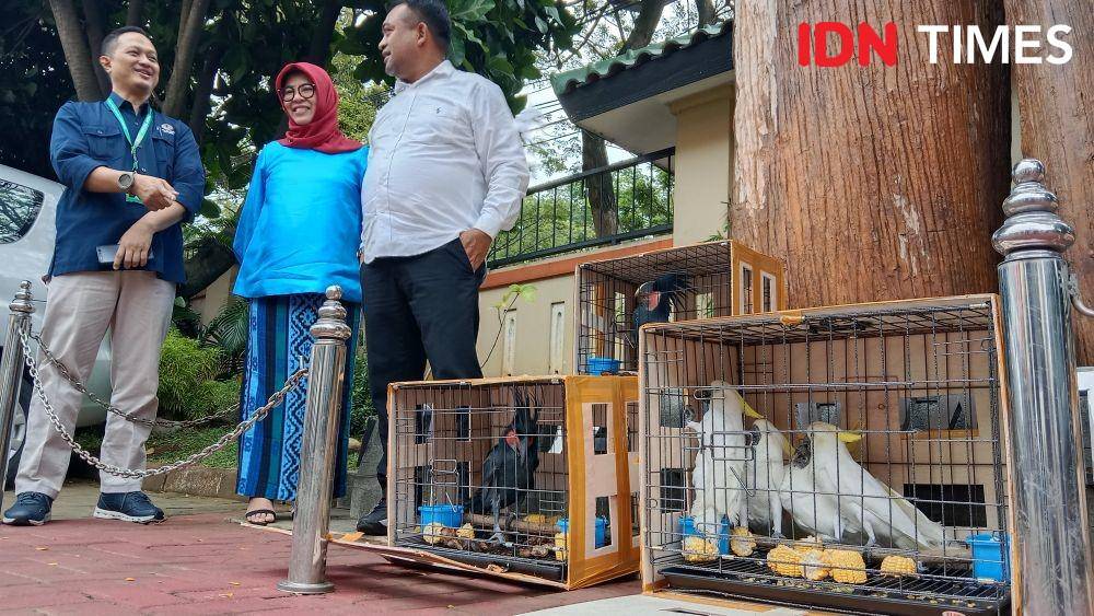 Deretan kandang berisi burung langka yang akan dilepasliarkan di Papua Barat. (IDN Times/Fariz Fardianto)