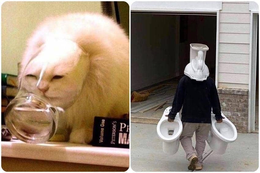 10 Potret Momen Random yang Tertangkap Kamera, Bikin Ngakak!