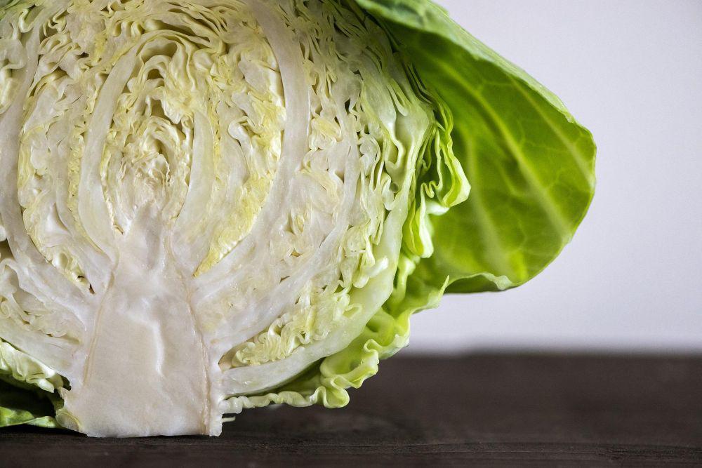 Ilustrasi sayur kobis (pixabay.com/stanbalik)