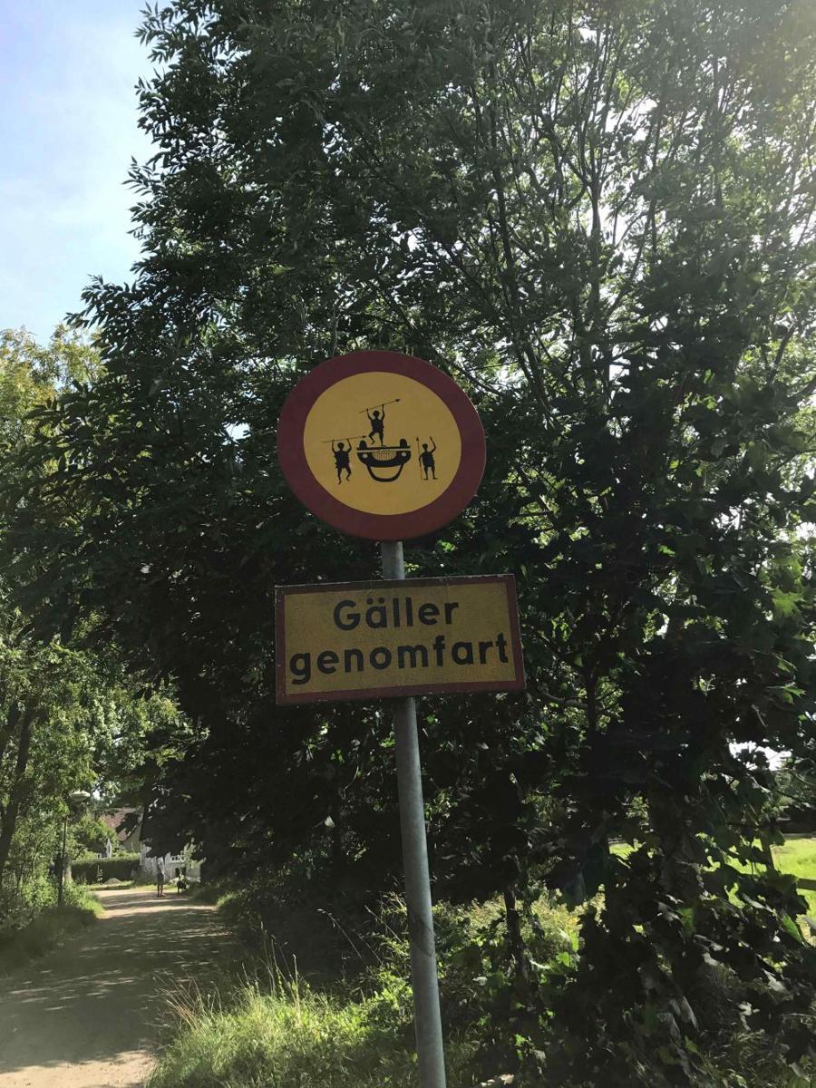 potret hal unik di Swedia (reddit.com/user/Crispiann)