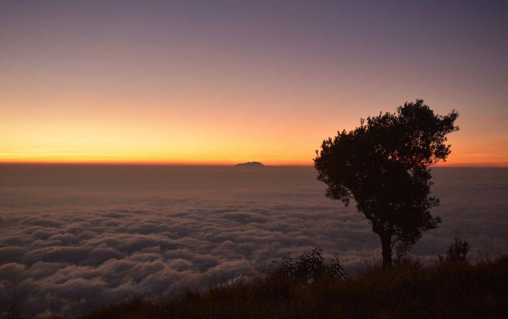 lautan awan Gunung Merbabu (unsplash.com/Aliko Sunawang)