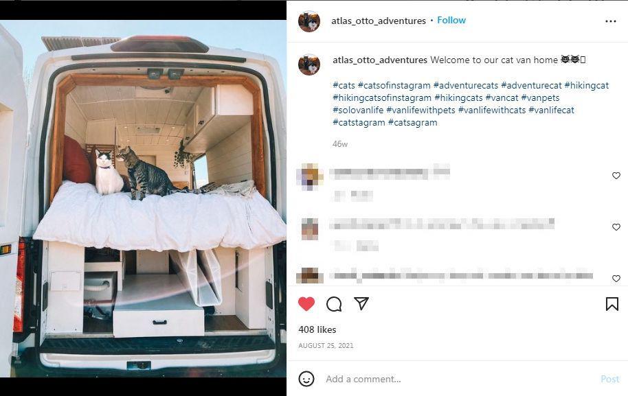 Atlas dan Otto di dalam mobil van (Instagram/atlas_otto_adventures)