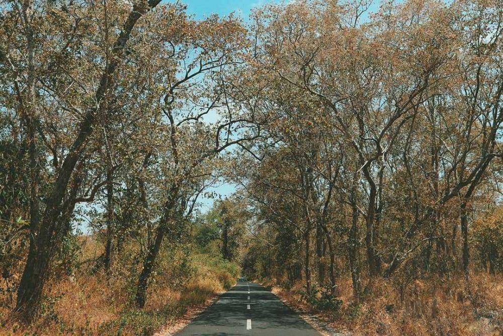 Taman Nasional Baluran (instagram.com/mulyanasari)