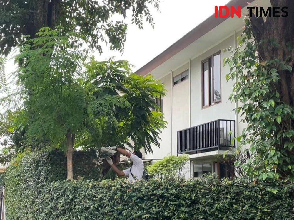 (IDN Times/Dini Suciatiningrum)