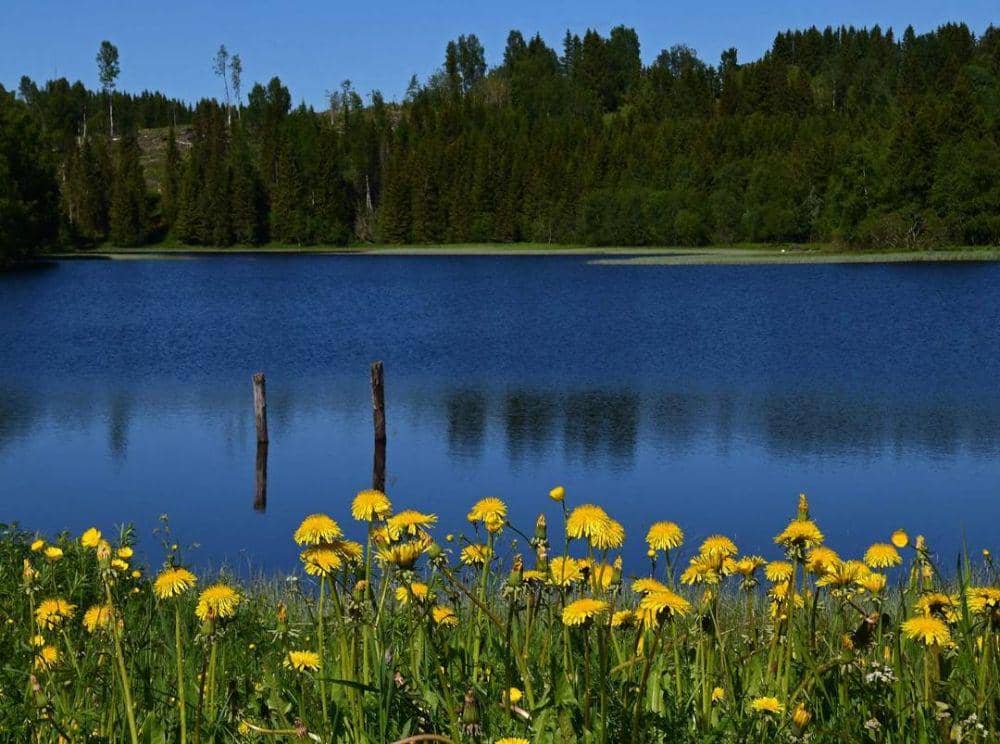 10 Danau Terbaik di Norwegia yang Wajib Dikunjungi, Wisata Favorit!