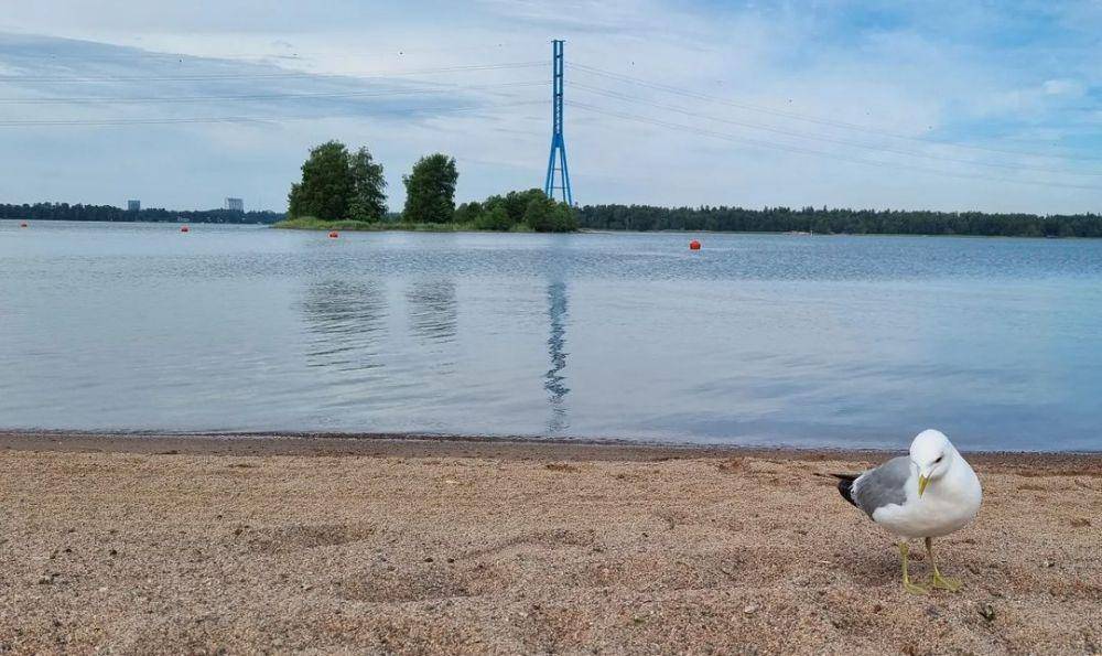 Hietaniemi Beach (instagram.com/yena1sen)