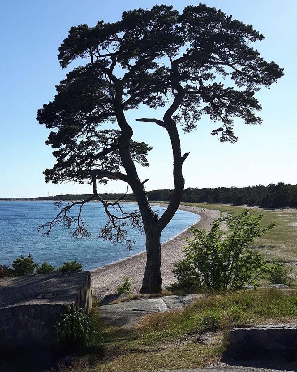 Tulliniemi Beach (instagram.com/nanepukko)