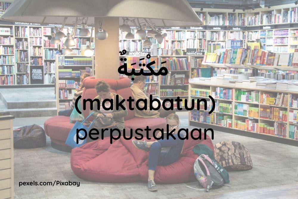 Ilustrasi perpustakaan (Dok.pribadi/Maisix Dela Desmita)