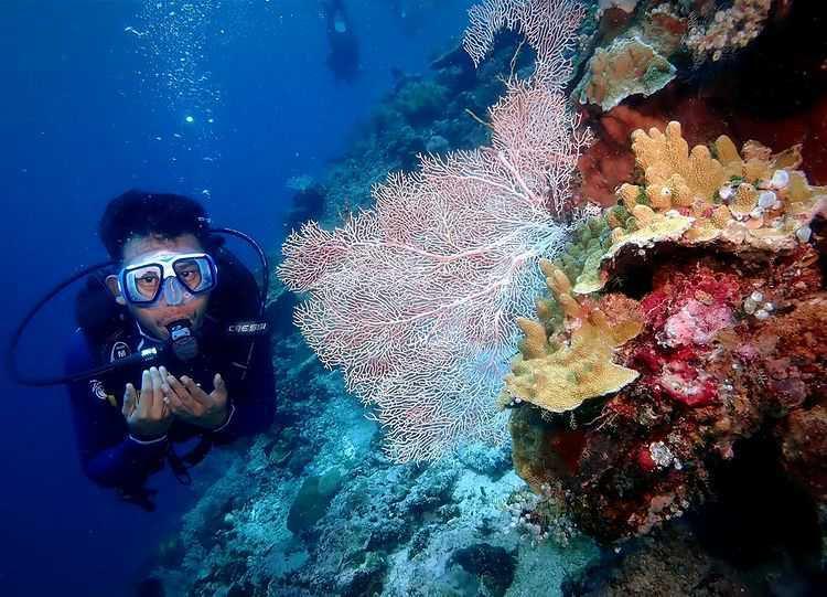 Taman Nasional Bunaken (instagram.com/piere_marshall)