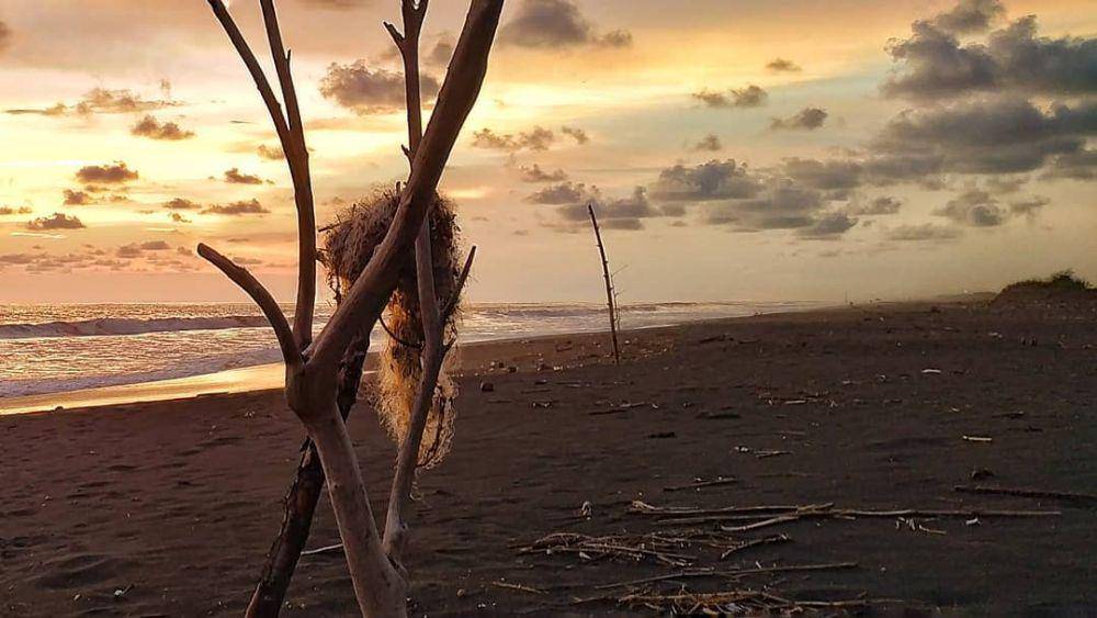 potret Pantai Pasir Kadilangu (instagram.com/pujaprakoso)