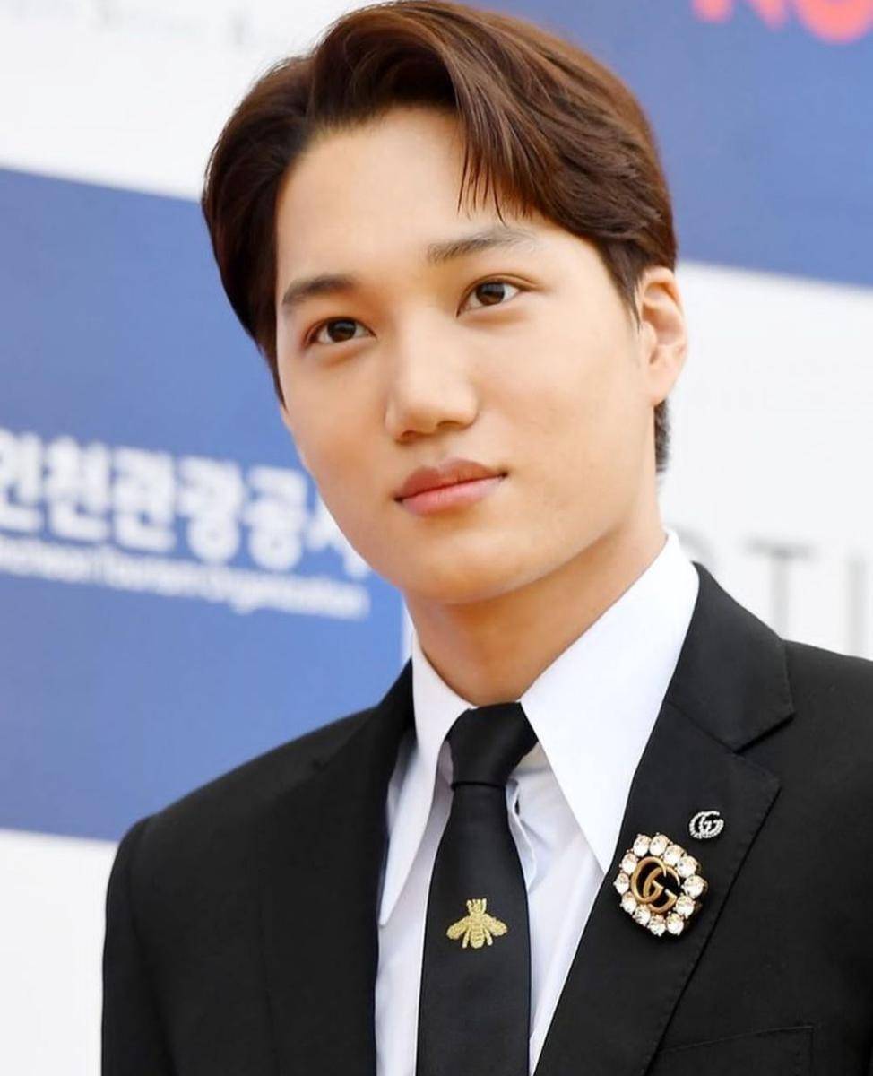 Kai EXO (https://www.instagram.com/kimkai.exoo/)