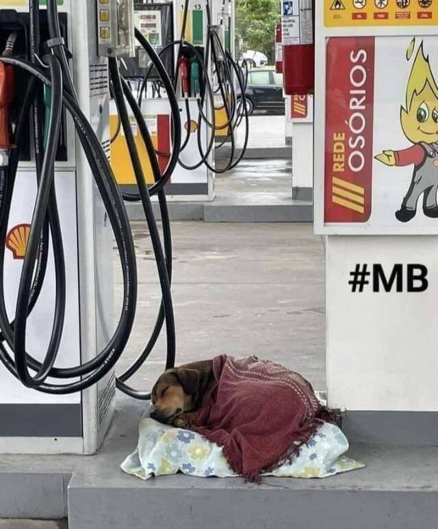 potret kebaikan hati manusia (reddit.com/user/Soonermagic1953)