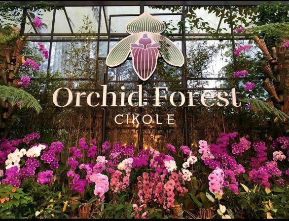 Orchid Forest Cikole: Lokasi, Harga Tiket, Aktivitas, dan Tips