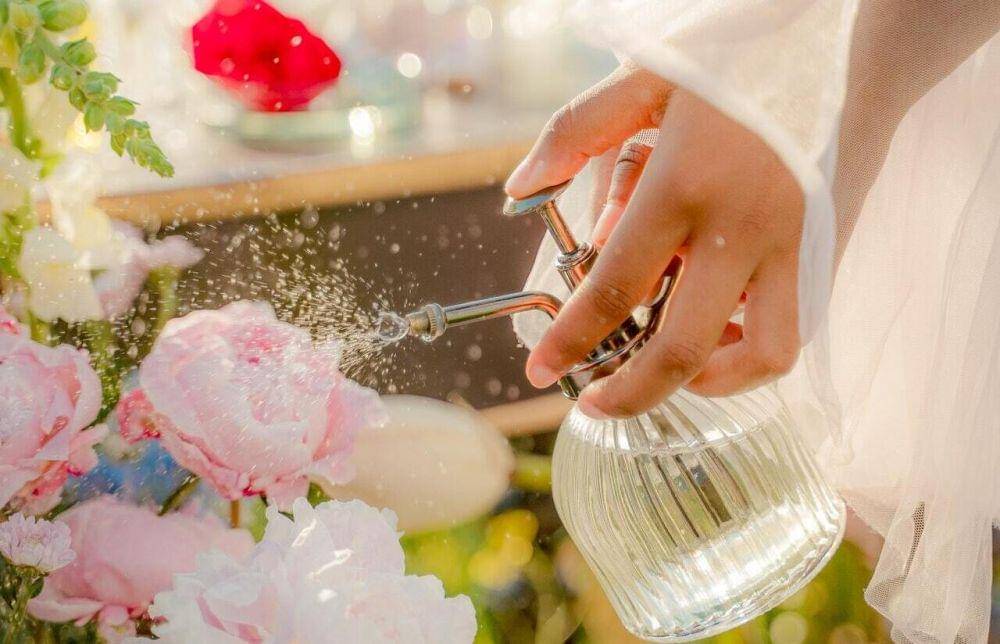 ilustrasi ragam kategori wewangian dalam parfum (pexels.com/Ron Lach)