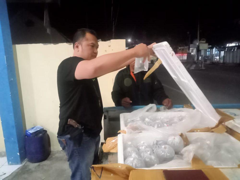 Polisi amankan terumbu karang tanpa dokumen (Dok Polres Bima)