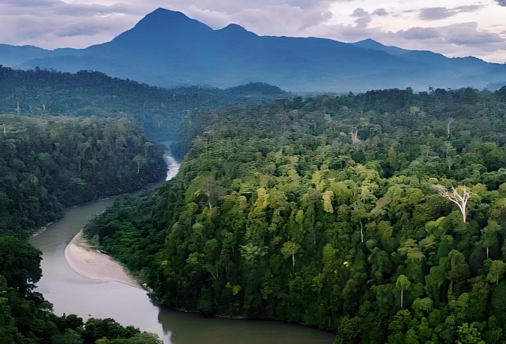 10 Fakta Taman Nasional Gunung Leuser, Suaka Tropis Terbesar di Dunia