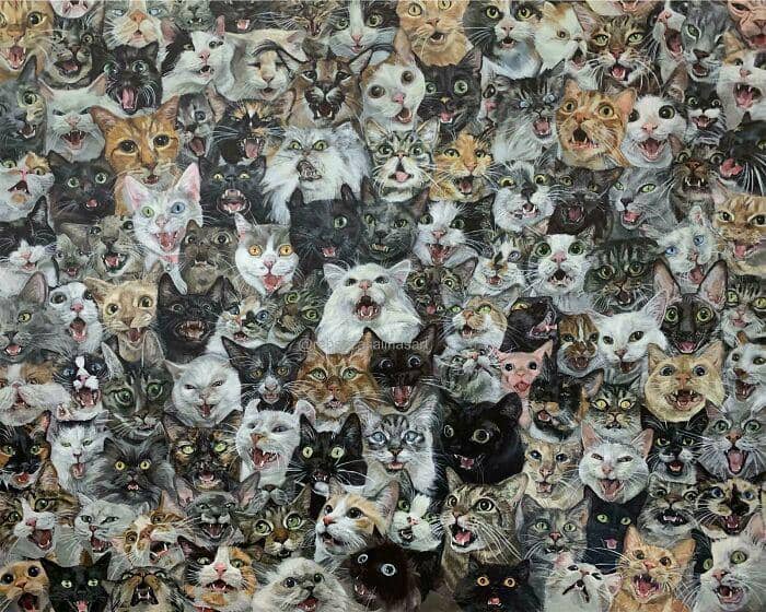 radiasi "meow energy" (reddit.com/friendlynoodless)