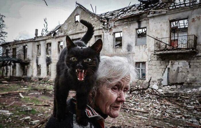 radiasi "meow energy" (reddit.com/sprxce)
