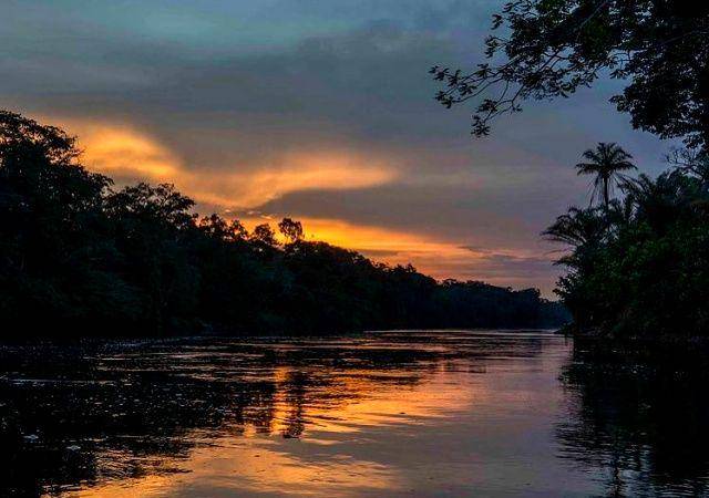 gambar Kongo Rainforest di Kongo (instagram.com/rainforest_eye)