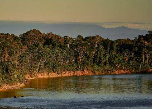 gambar Amazon Rainforest di Brazil (instagram.com/jl_menaa)
