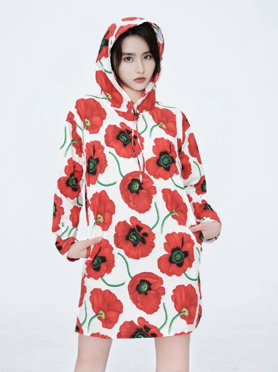 Jin Zihan (weibo.com/ NAME-金子涵 )