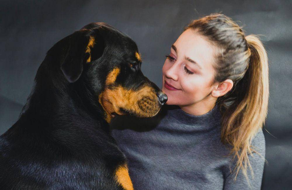 ilustrasi anjing dan manusia (unsplash.com/Luke McKeown)