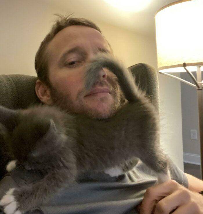kucing gak tahu tata krama (reddit.com/jchrysostom)
