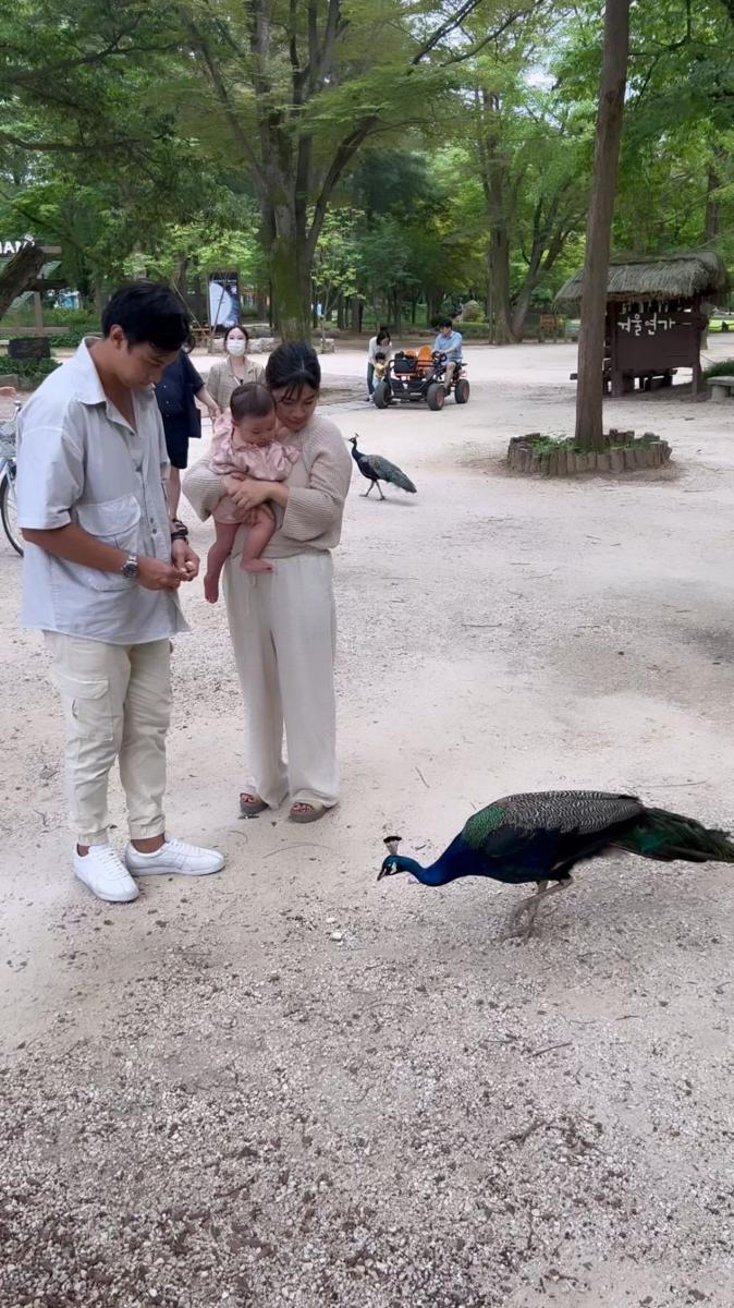 Baby Bible liburan di Korea (instagram.com/babybible911)