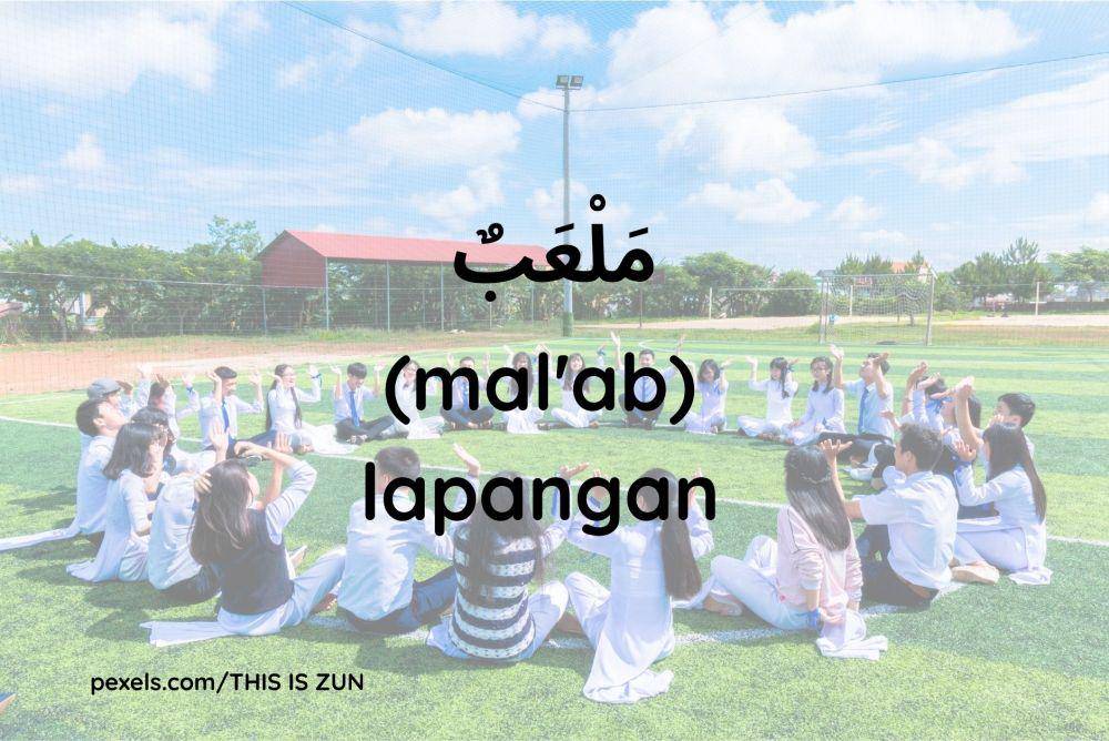 Ilustrasi lapangan (Dok.pribadi/Maisix Dela Desmita)