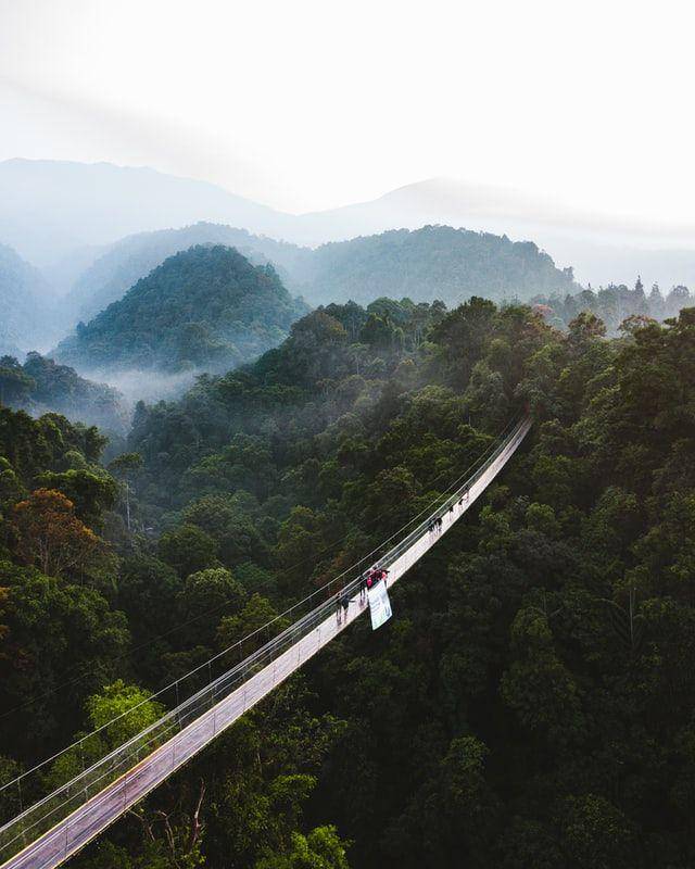 Situ Gunung (unsplash.com/Azinumoto)