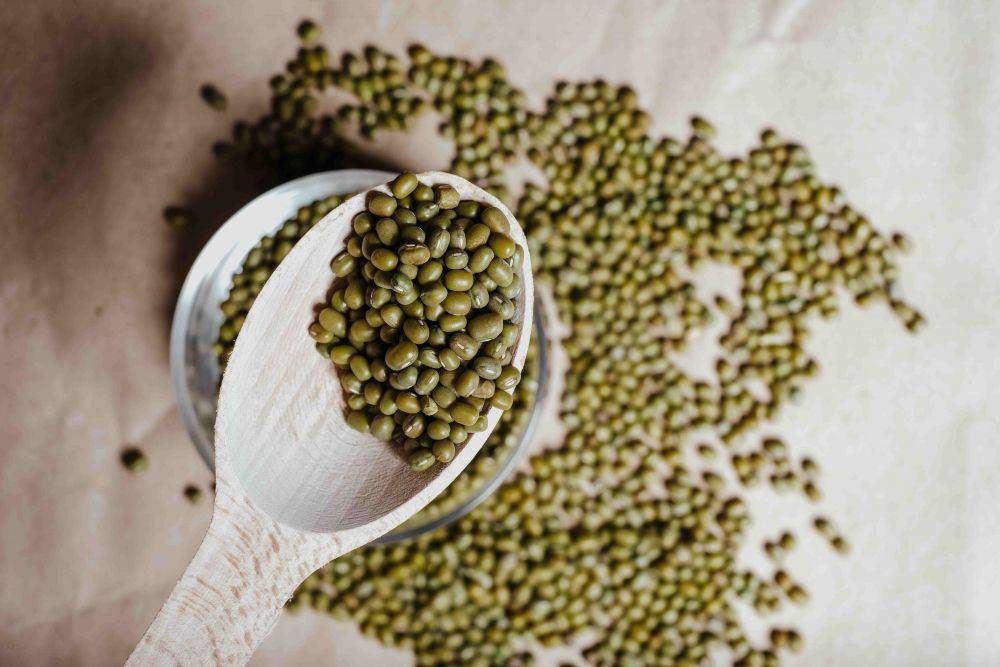 ilustrasi cara menanam kacang hijau (pexels.com/Vie Studio)