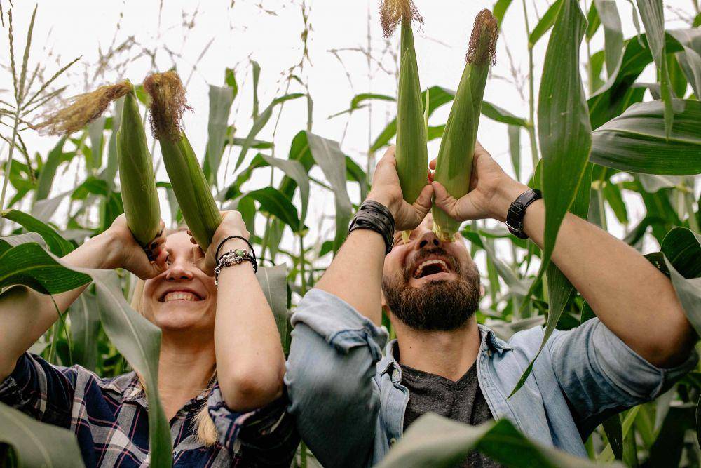 ilustrasi cara menanam jagung (pexels.com/Yan Krukov)