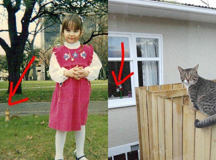 potret lucu nyempil di tengah pemotretan (reddit.com/Thereisnocat_)