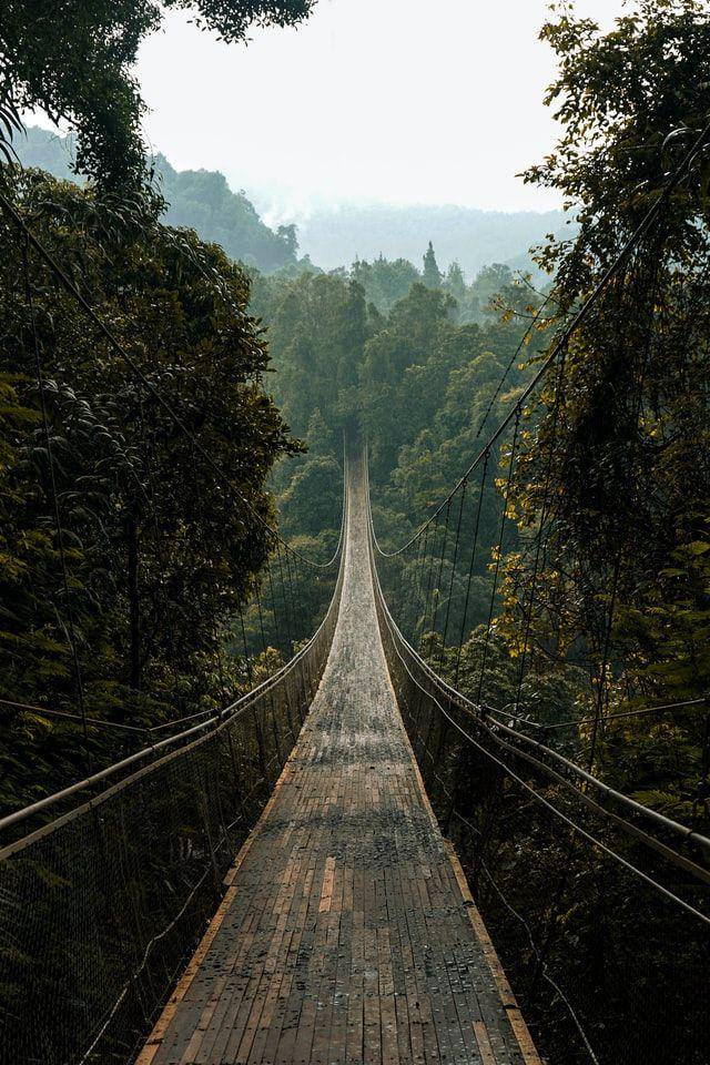 Situ Gunung (unsplash.com/yusup rachman)