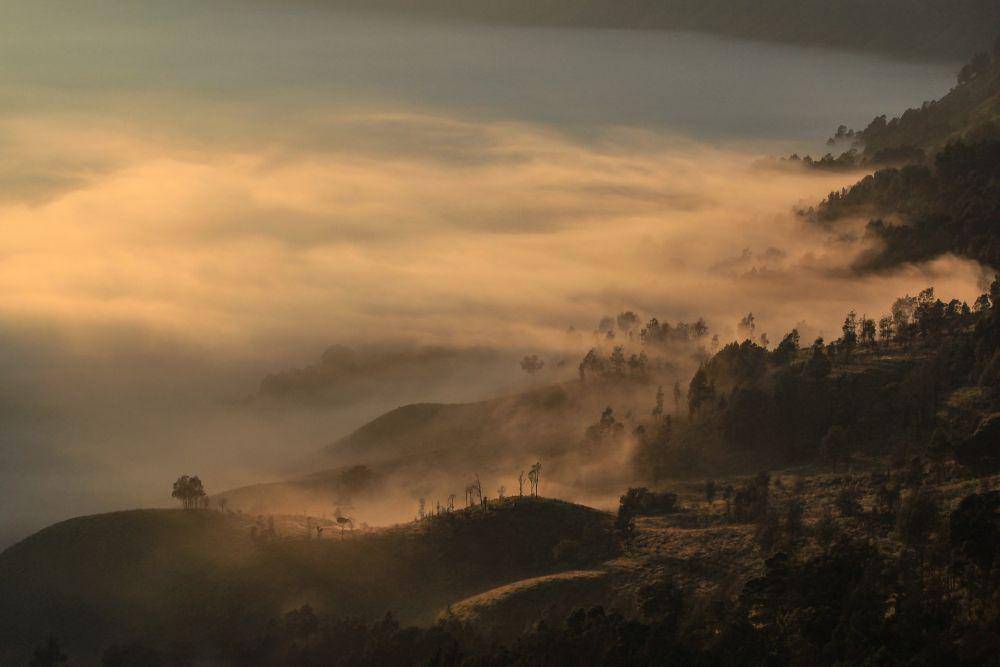 Gunung Bromo (pixabay.com/Aknafi)