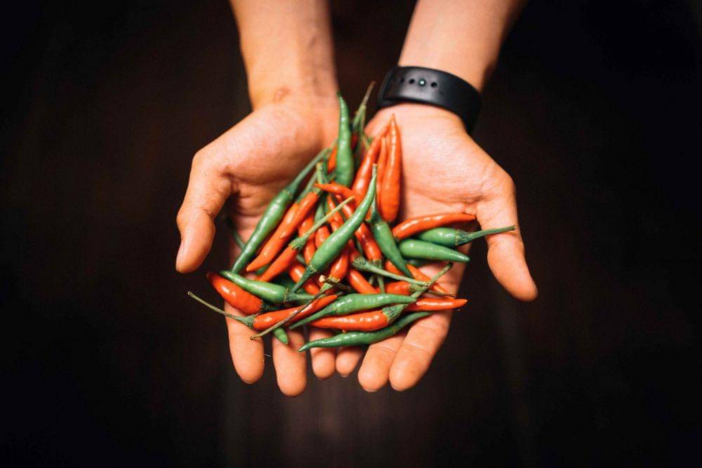 ilustrasi cara menanam cabe rawit (pexels.com/Bence Szemerey)