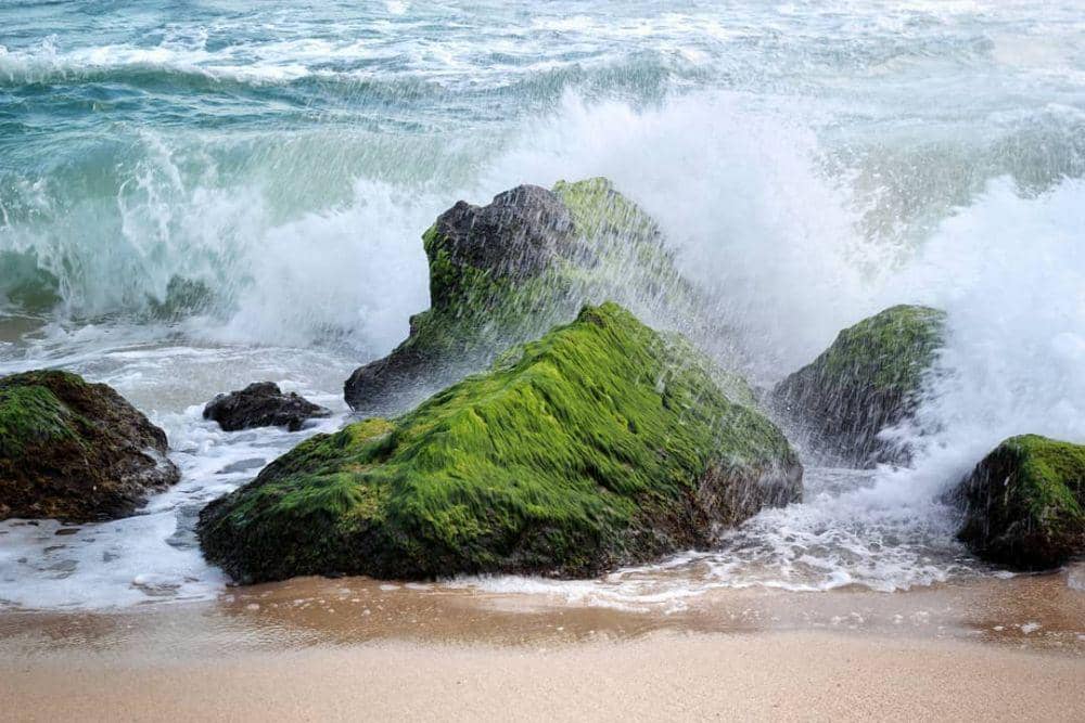 potret Pantai Krokoh (instagram.com/yusri_mantong)