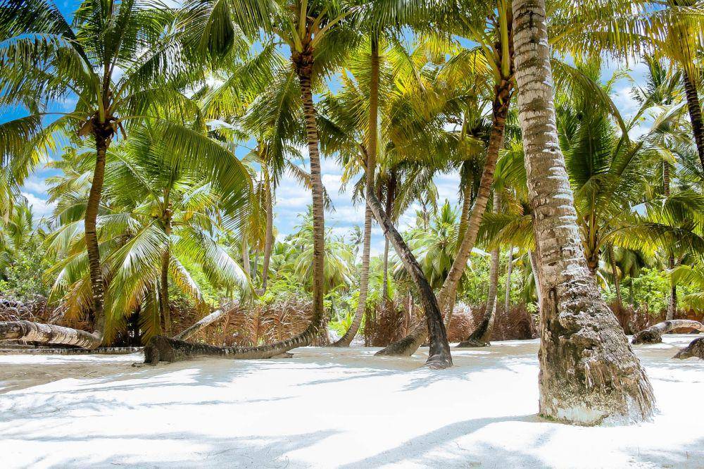 Saona Island (pixabay.com/raiKom)