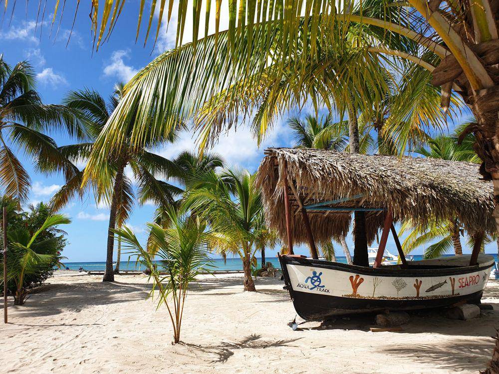 Saona Island (unsplash.com/Conny Schneider)