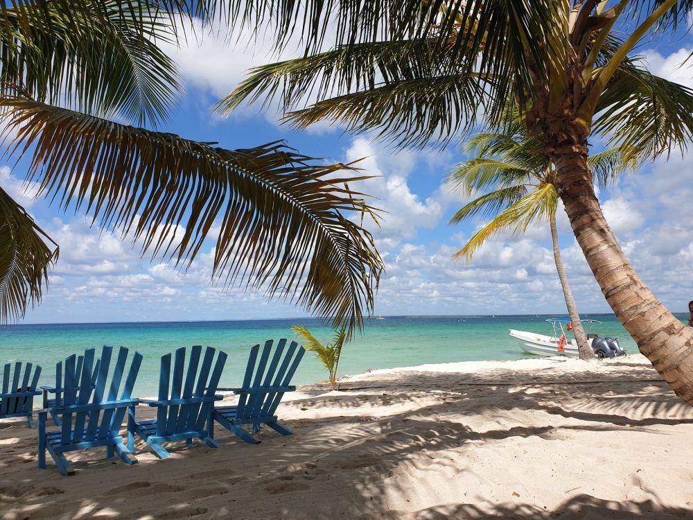 Saona Island (unsplash.com/Conny Schneider)