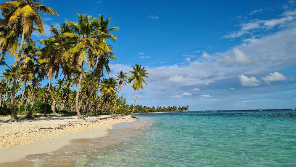 Saona Island (unsplash.com/Holger Woizick)