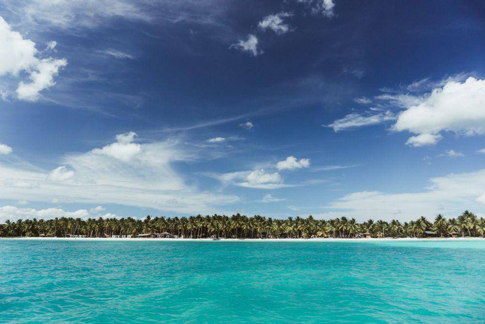 Saona Island (unsplash.com/Kirk Thornton)